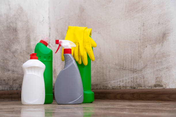 Mold Odor Removal Services in Highpoint, OH